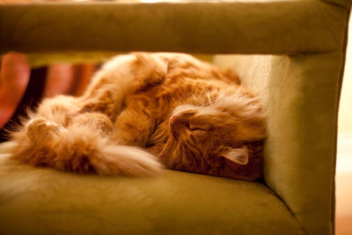 Marlfield House Hotel Relais et Chateaux