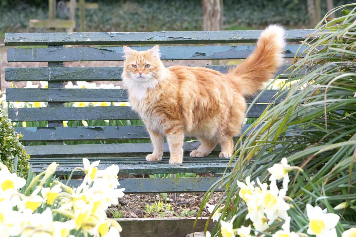 Marlfield House Hotel Relais et Chateaux