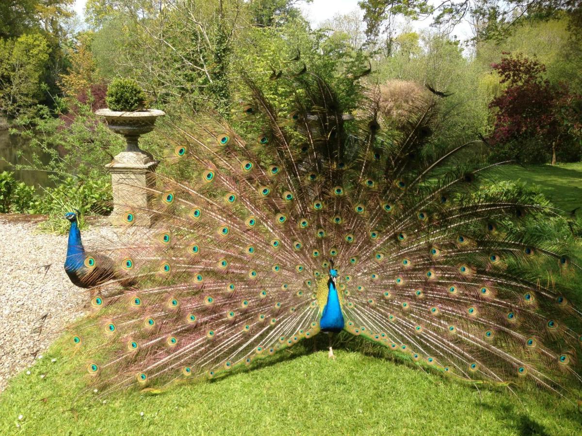 Marlfield House Hotel Relais et Chateaux