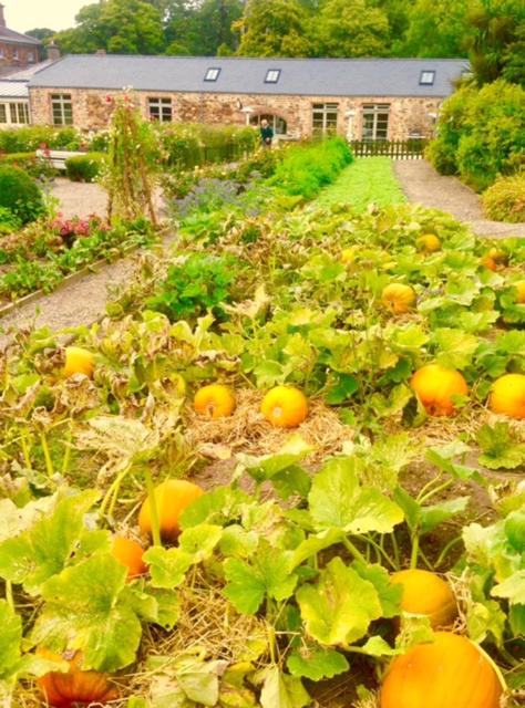 Marlfield House Hotel Relais et Chateaux
