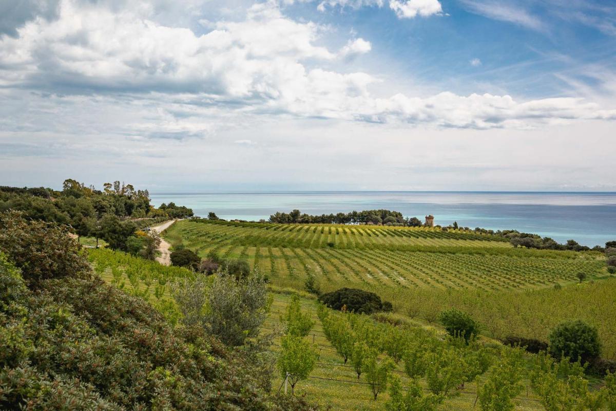 Masseria Agriturismo Torre Di Albidona