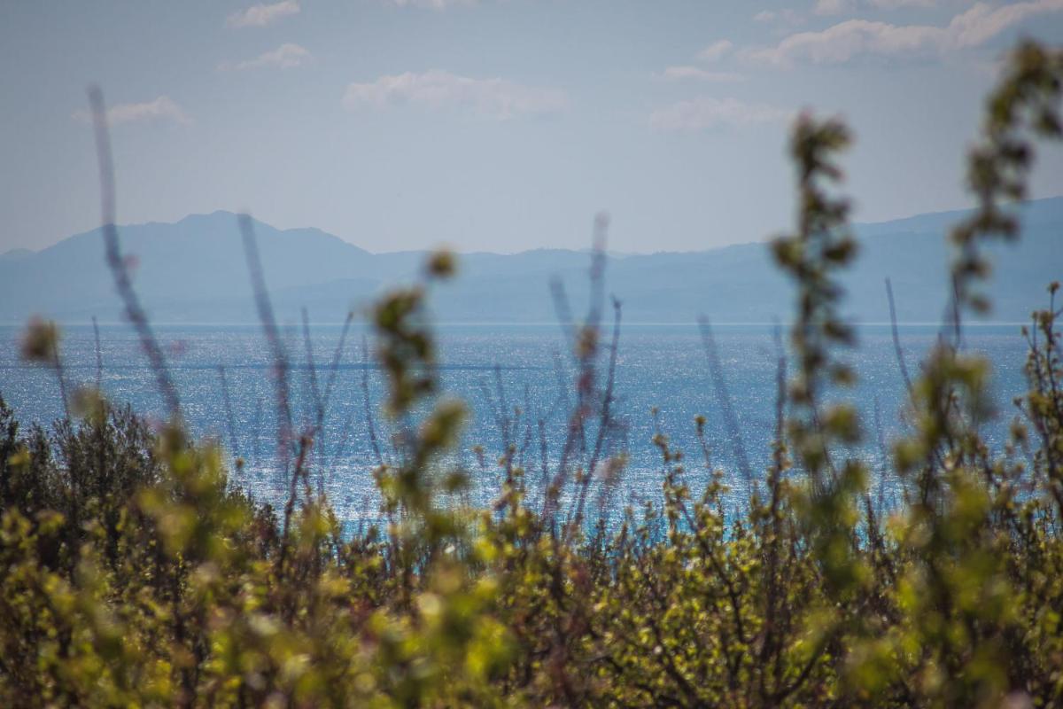 Masseria Agriturismo Torre Di Albidona