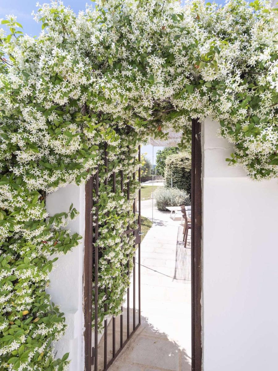 Masseria Alchimia