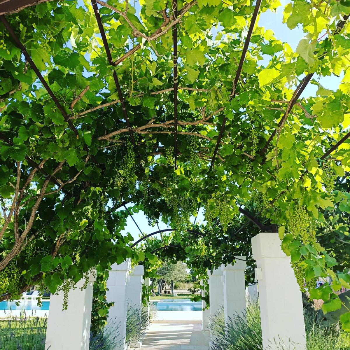 Masseria Almadava