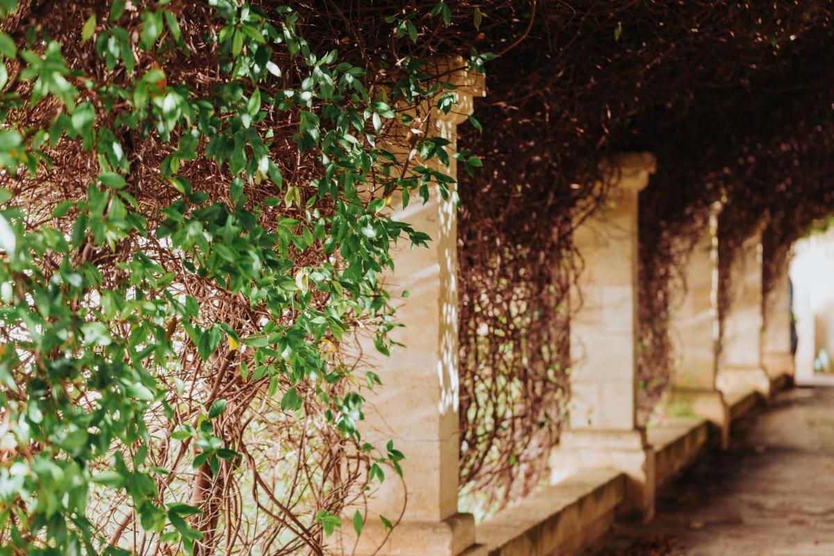 Masseria Ancella