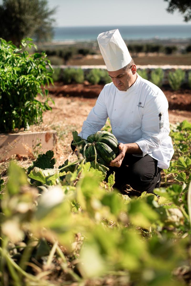 Masseria Auraterrae