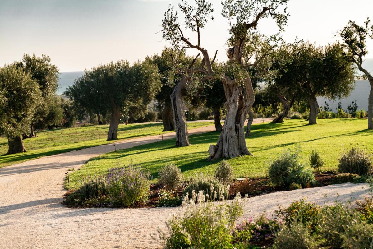 Masseria Auraterrae