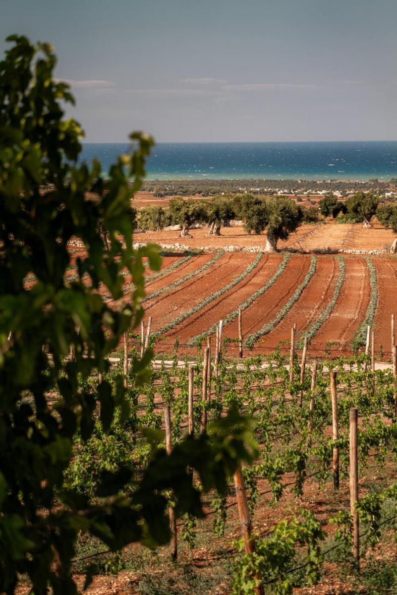 Masseria Auraterrae
