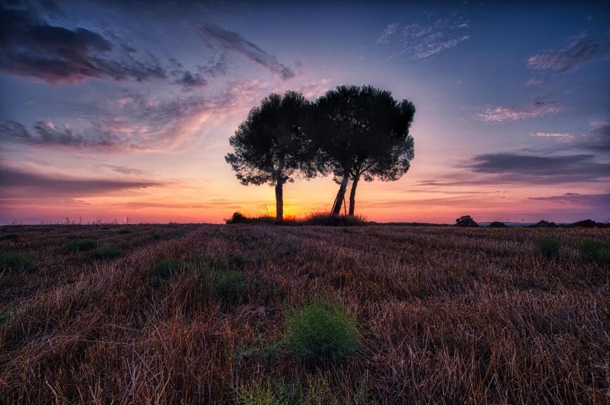 Masseria Bagnara Resort & Spa