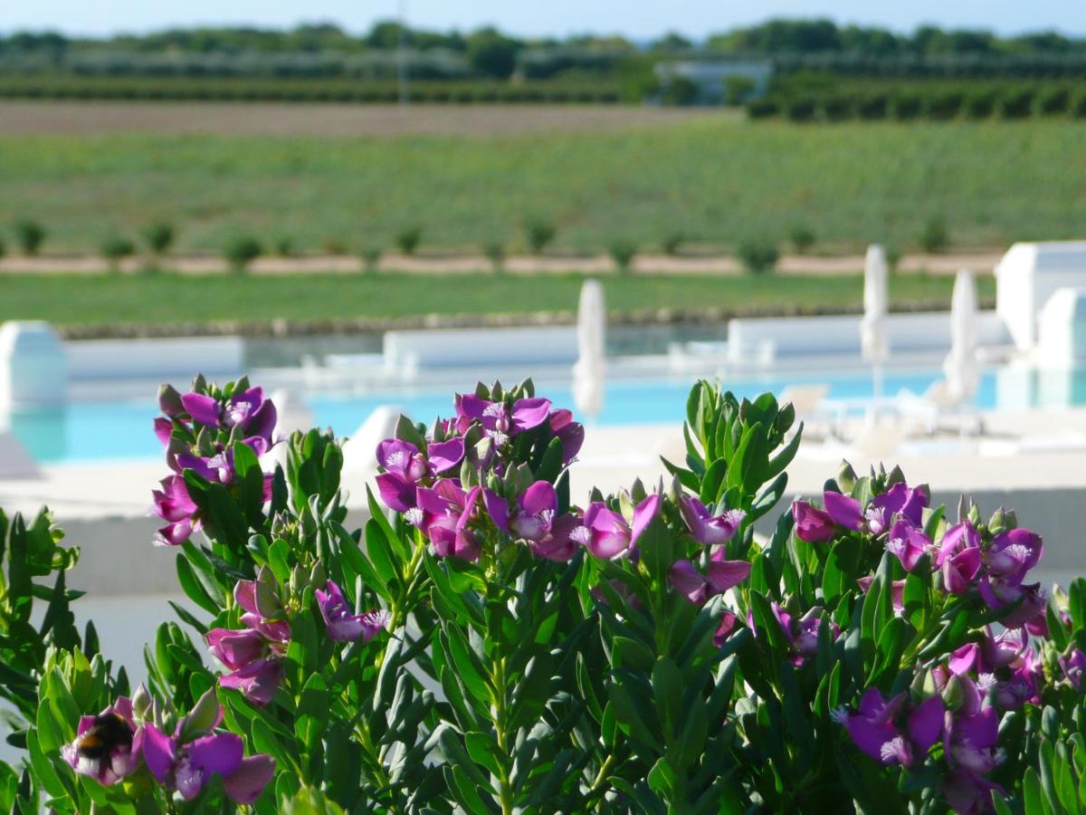 Masseria Bagnara Resort & Spa