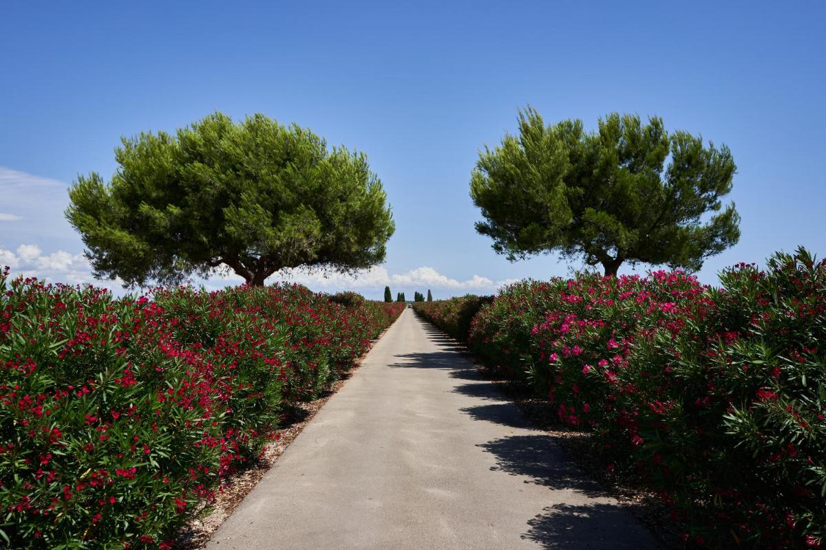 Masseria Bagnara Resort & Spa