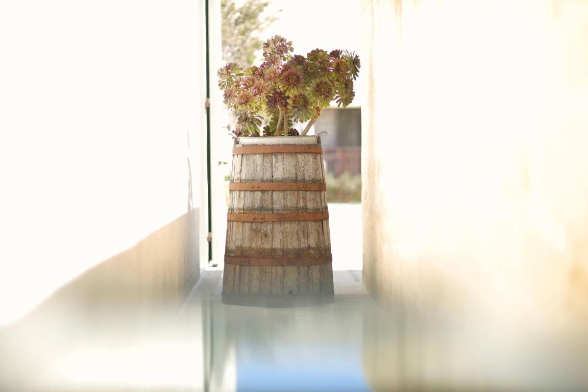 Masseria Borgo Sentinella