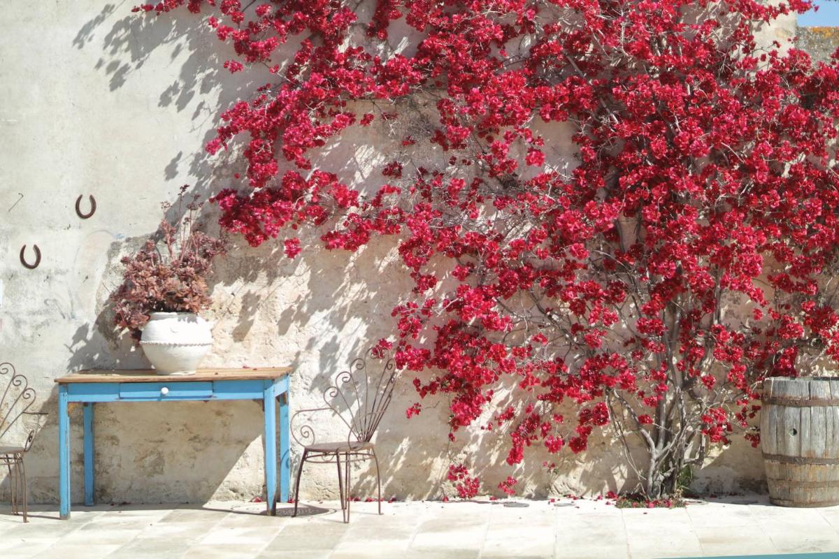 Masseria Borgo Sentinella