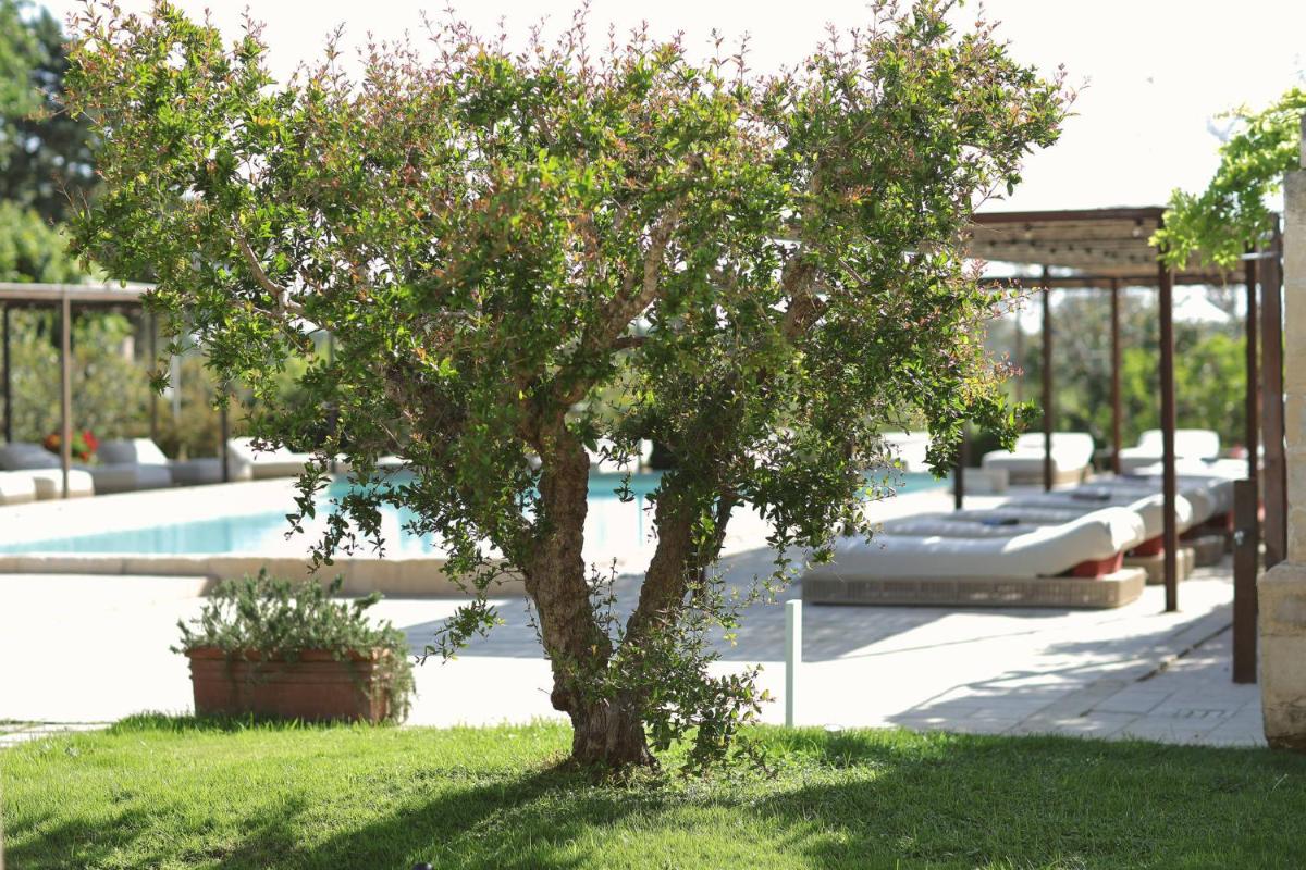 Masseria Borgo Sentinella