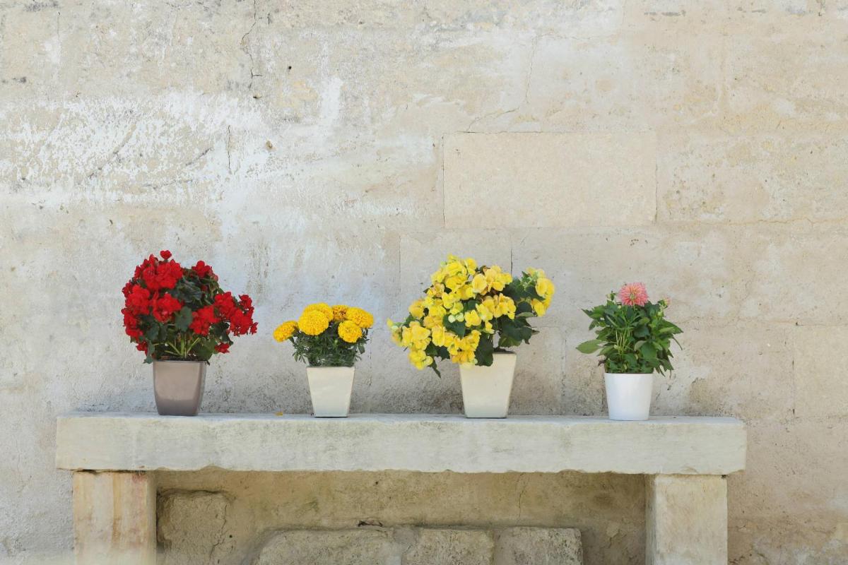 Masseria Borgo Sentinella