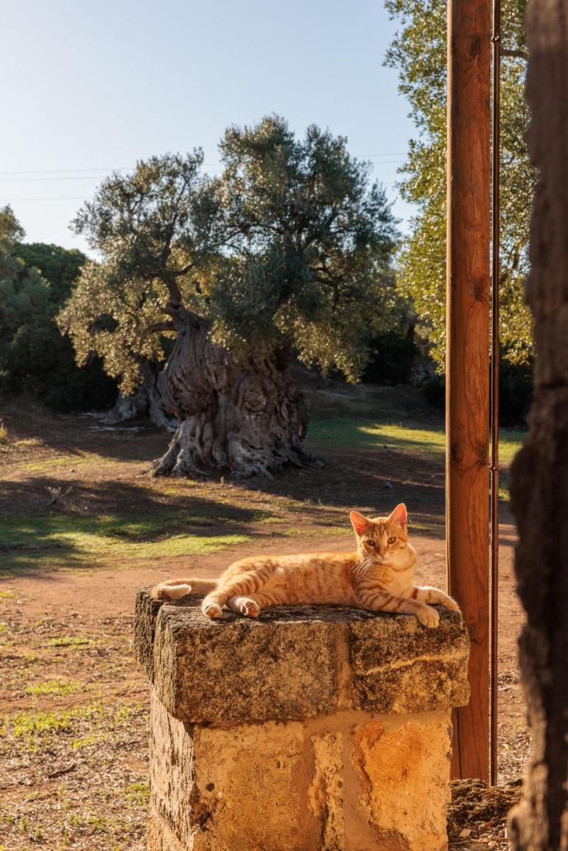 Masseria Brigantino