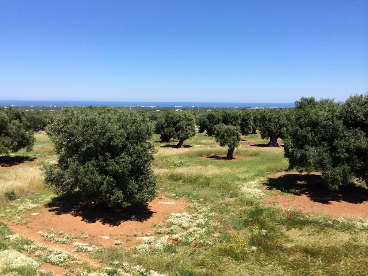 Masseria Capece