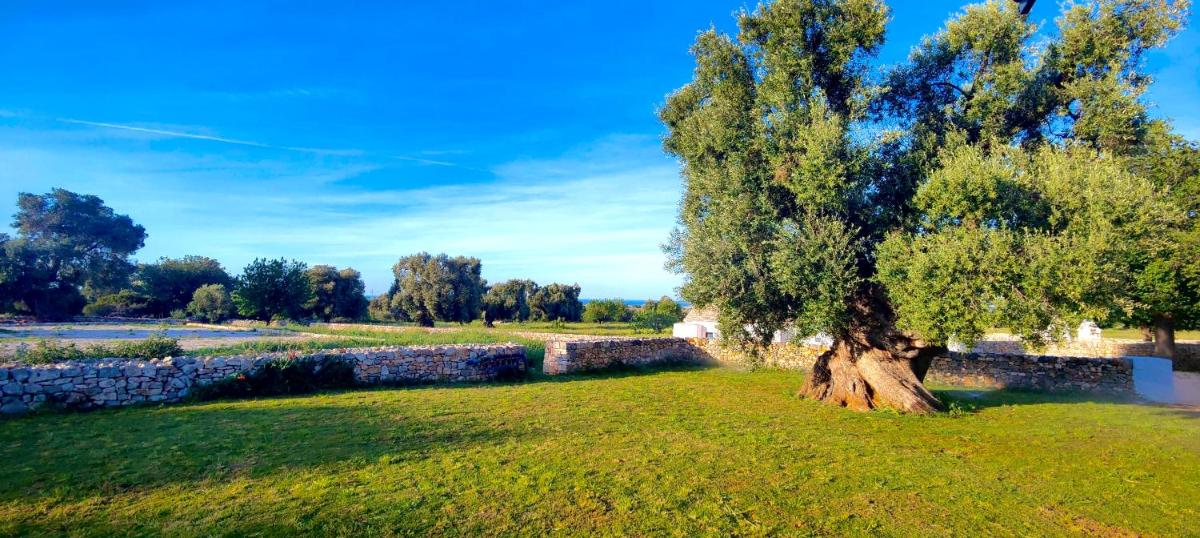 Masseria Celeste