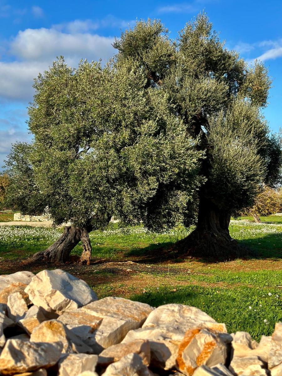 Masseria Celeste