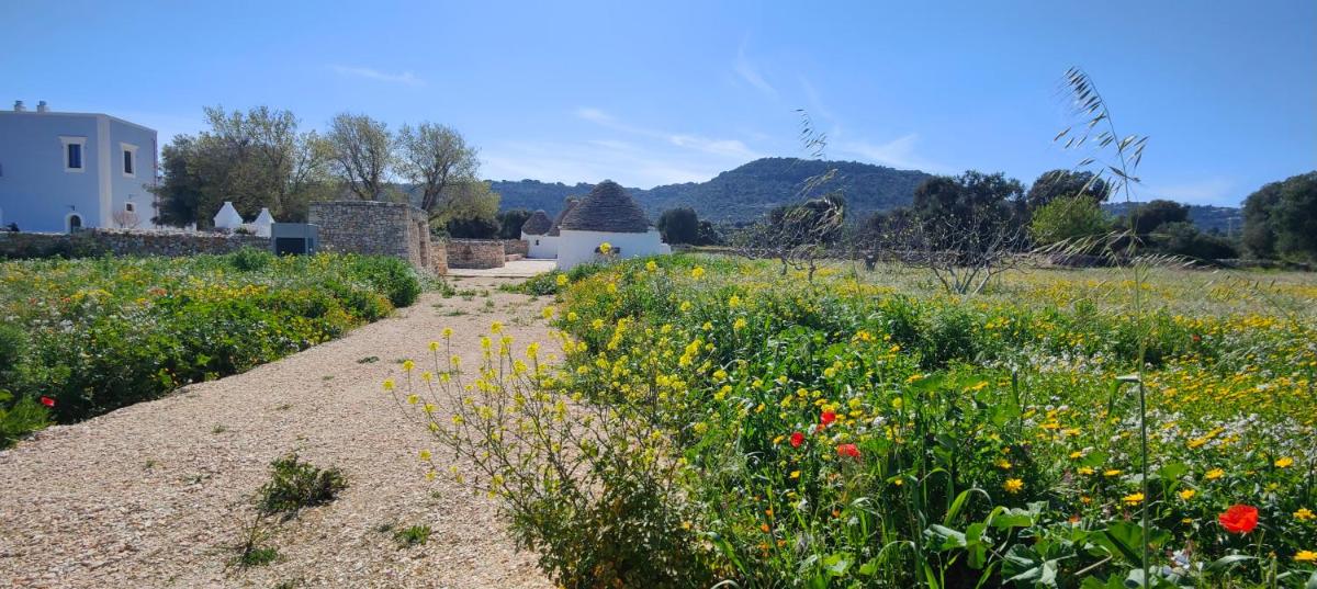 Masseria Celeste