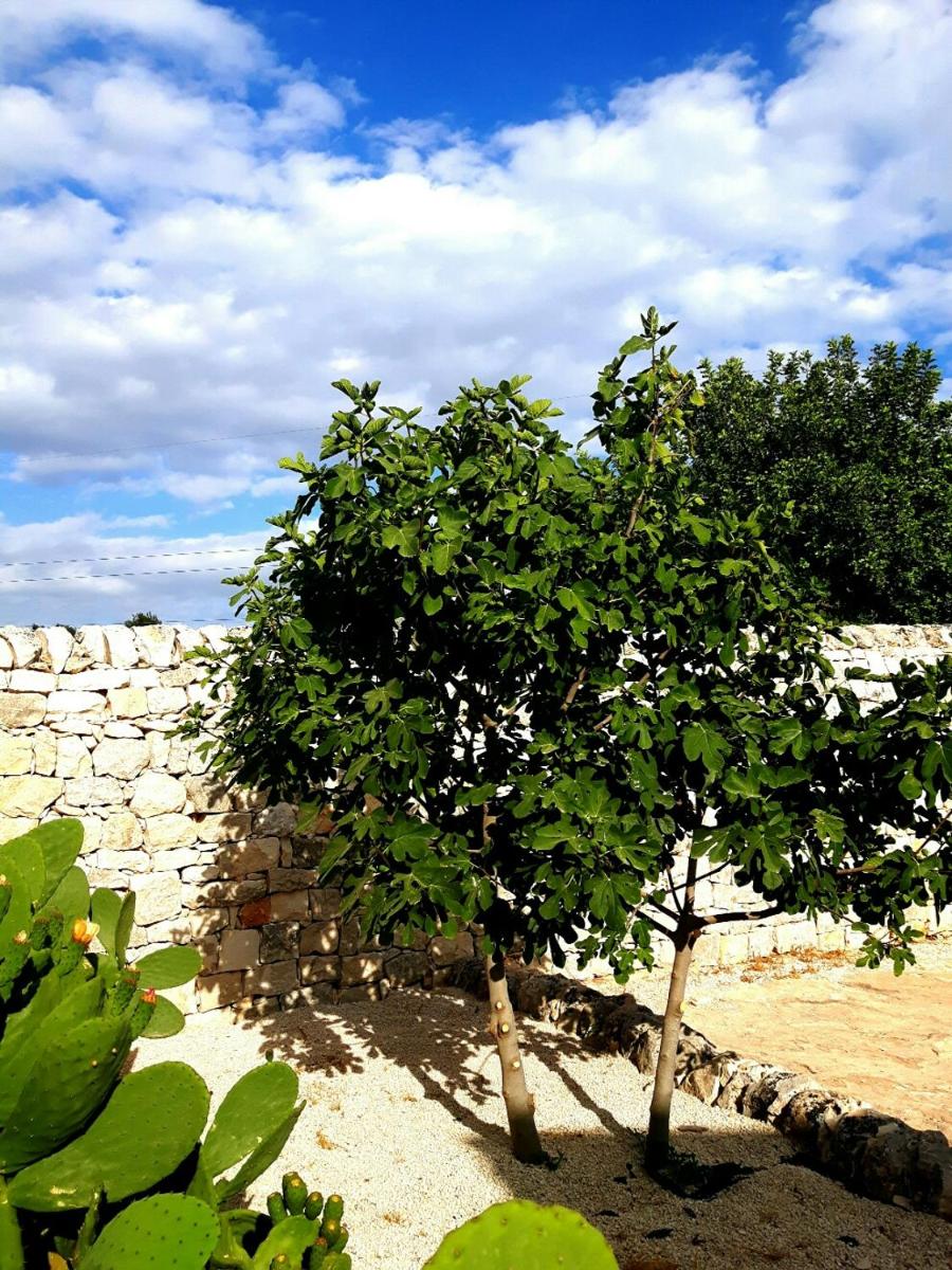 Masseria Cianciò