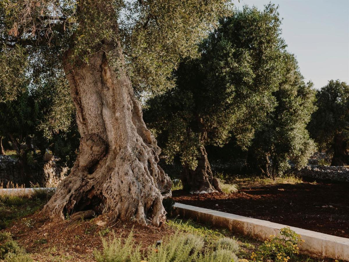 Masseria Dagilupi