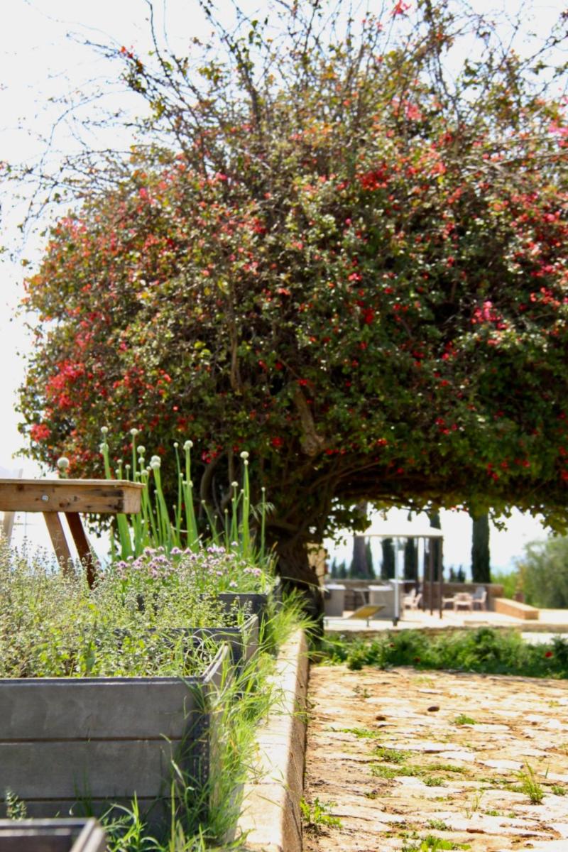 Masseria del Carboj