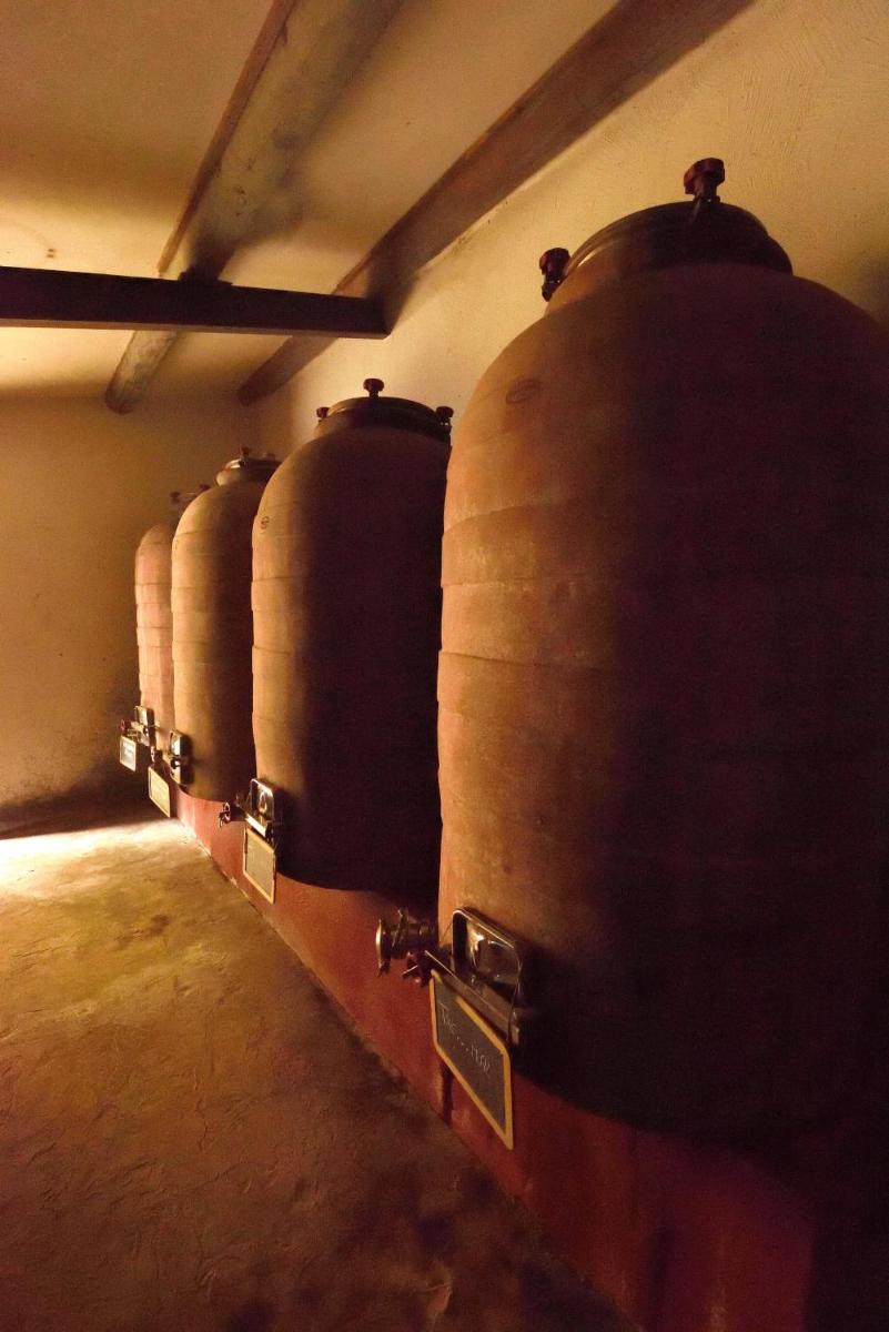 Masseria del Vino - Ciavolich Wine Relais