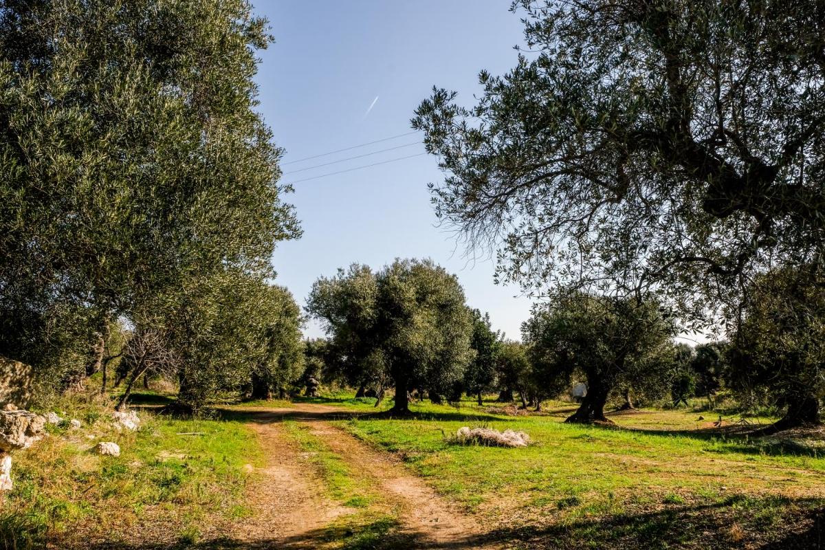 Masseria D'Erchia