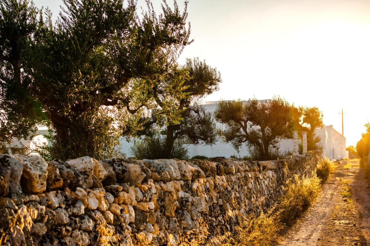 Masseria D'Erchia