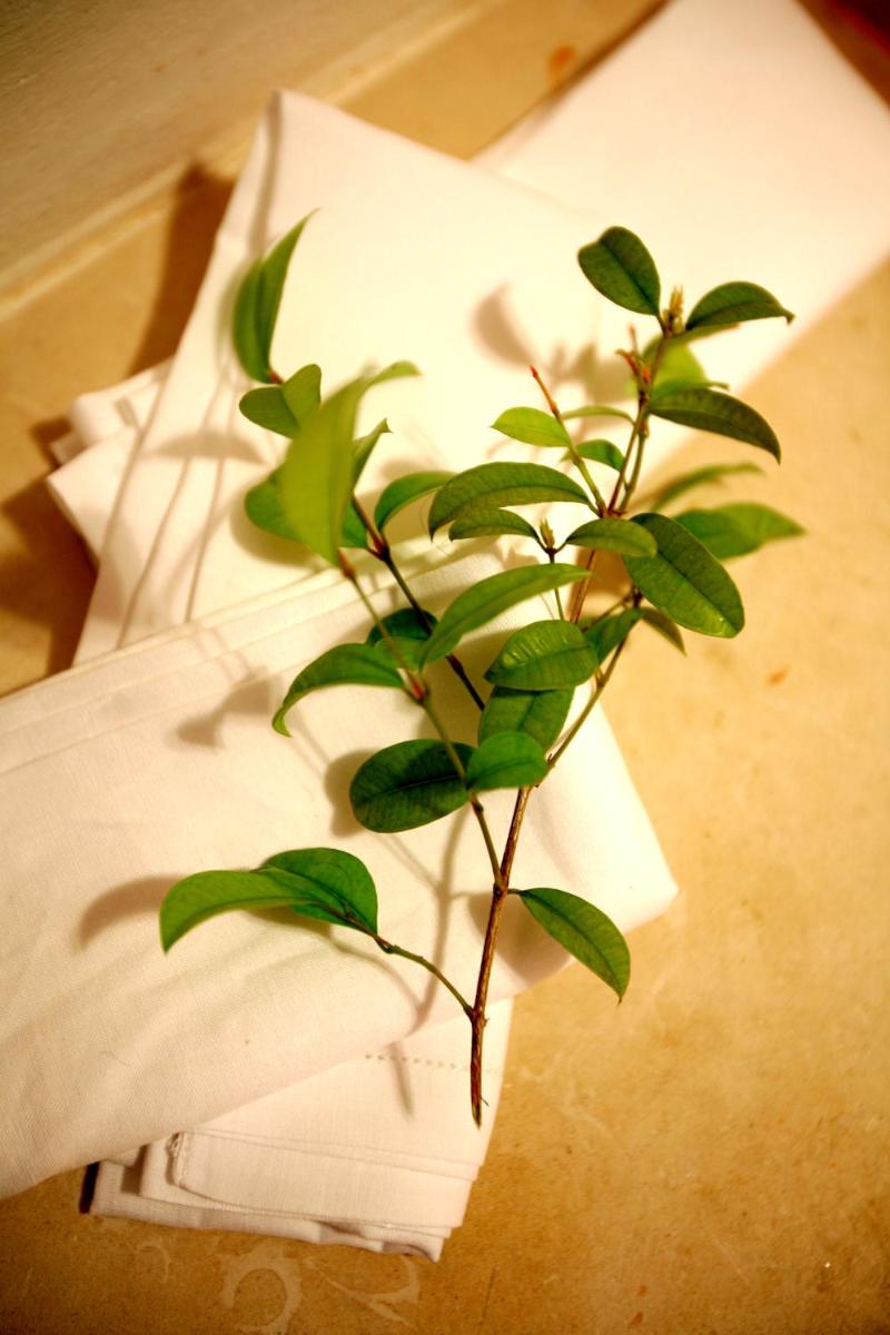 Masseria Don Cirillo