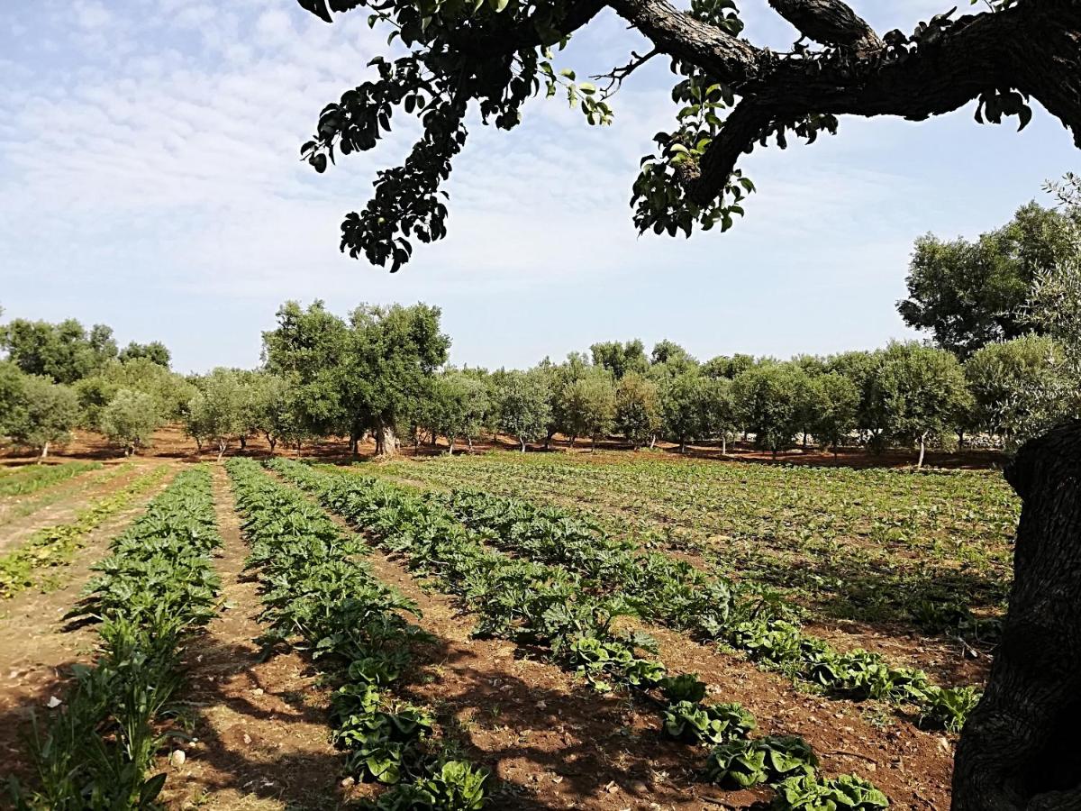 Masseria Don Sante