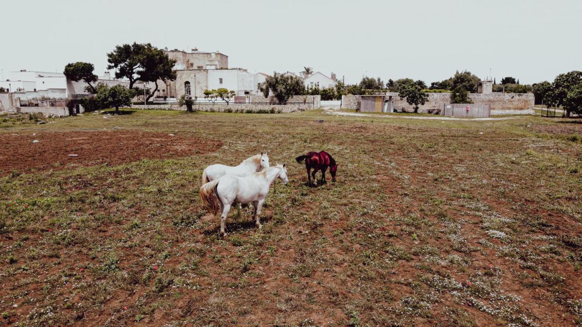 Masseria Francescani