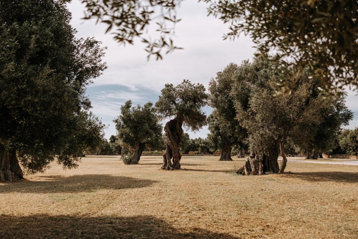Masseria Garrappa