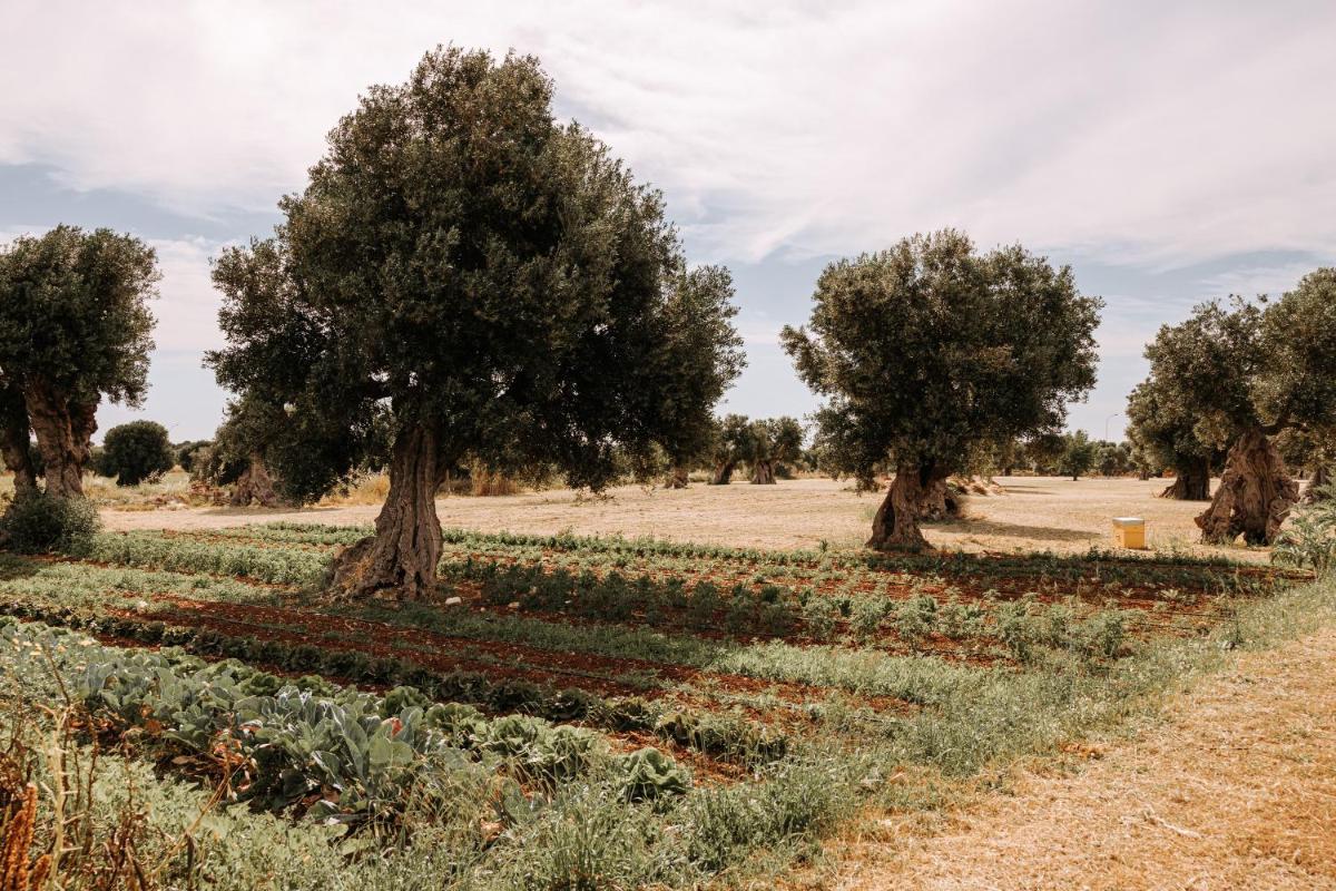 Masseria Garrappa