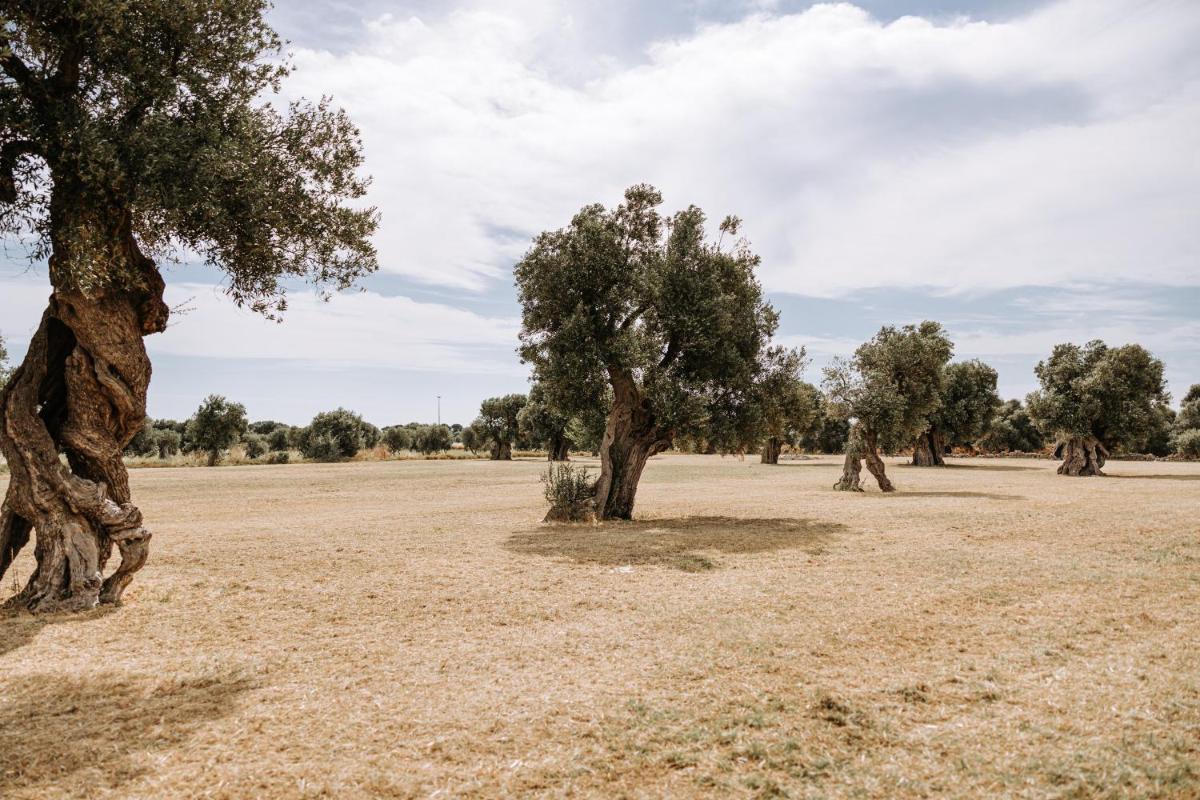 Masseria Garrappa