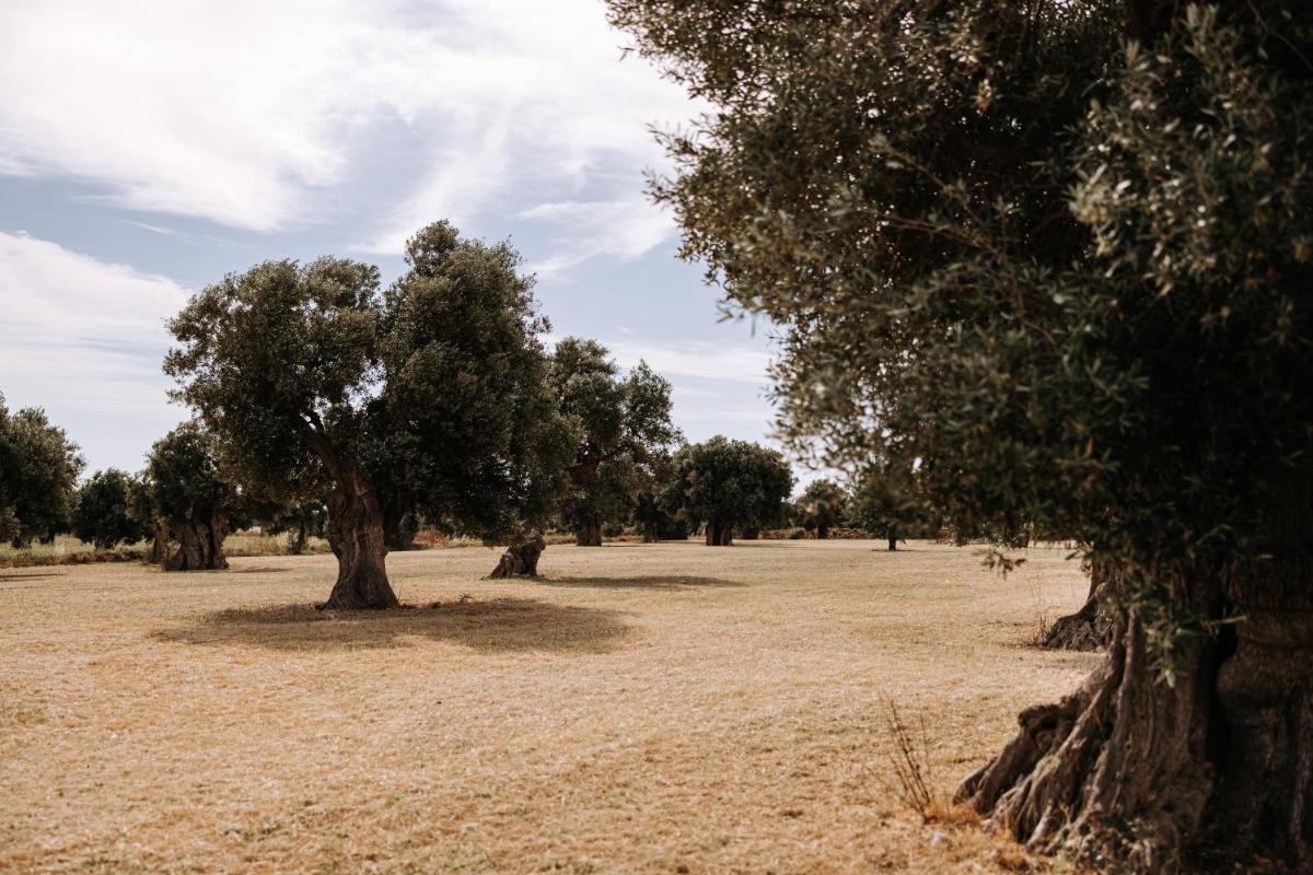 Masseria Garrappa