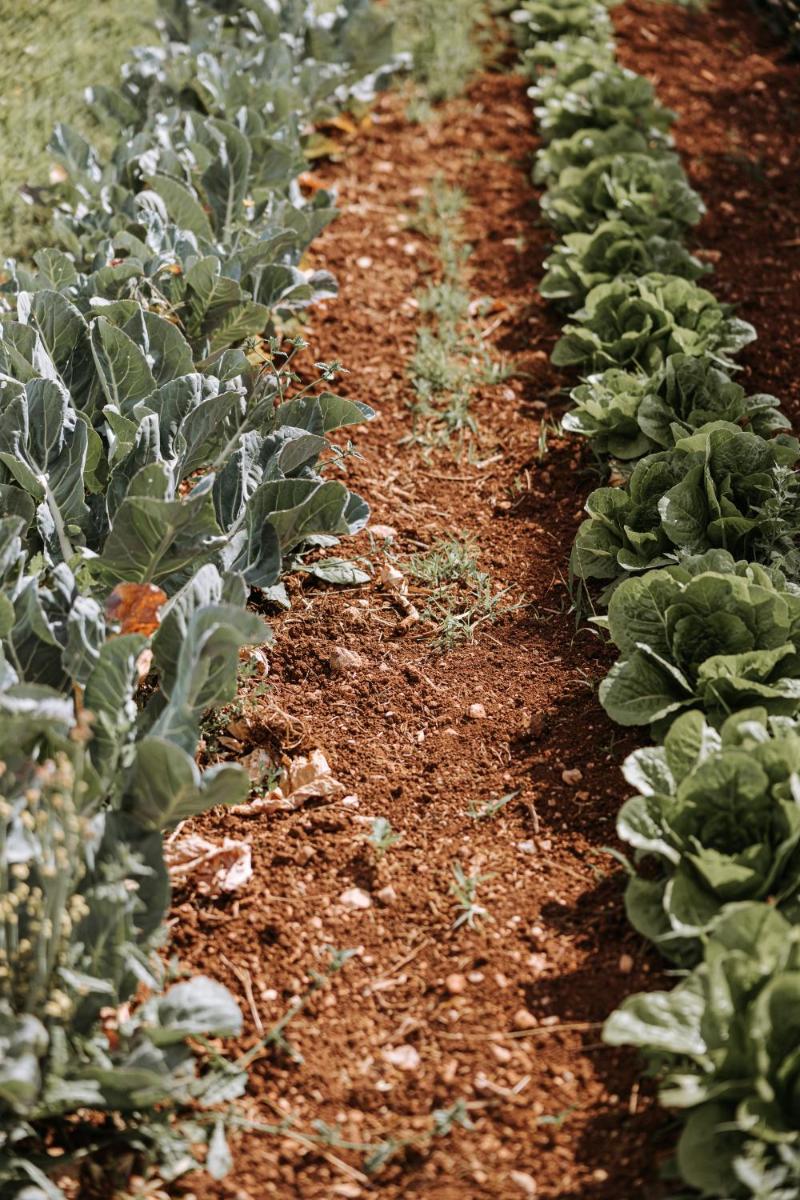 Masseria Garrappa