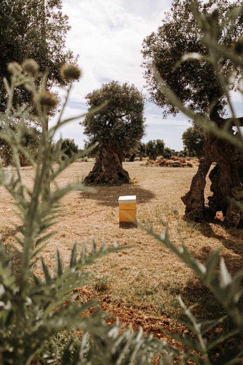 Masseria Garrappa