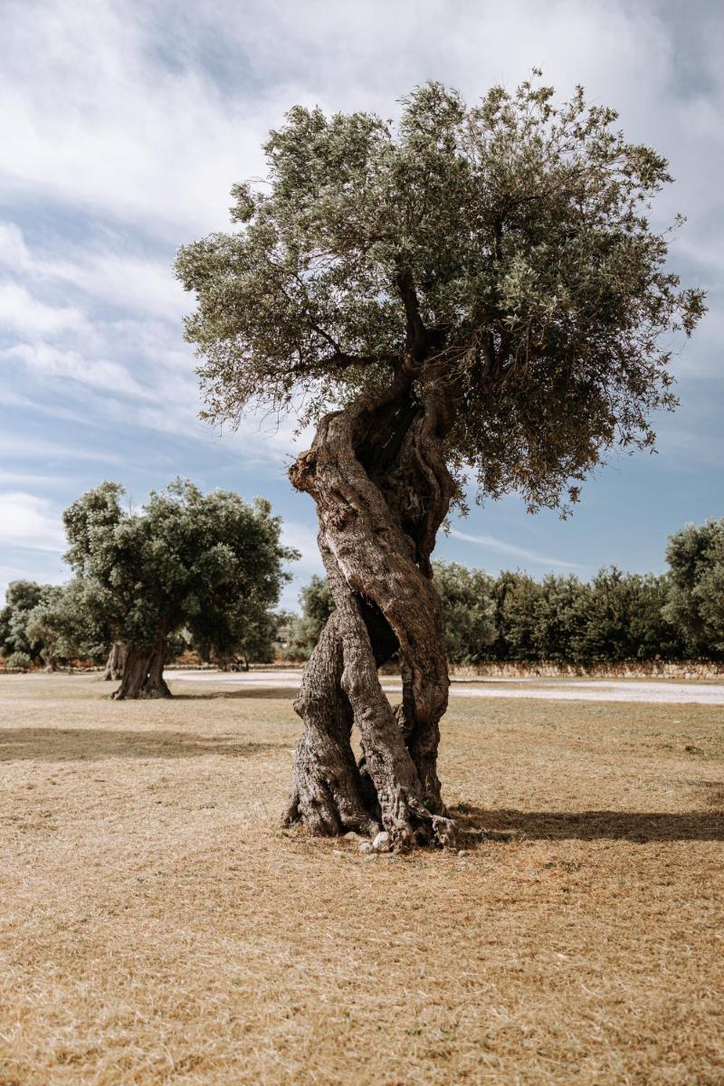 Masseria Garrappa