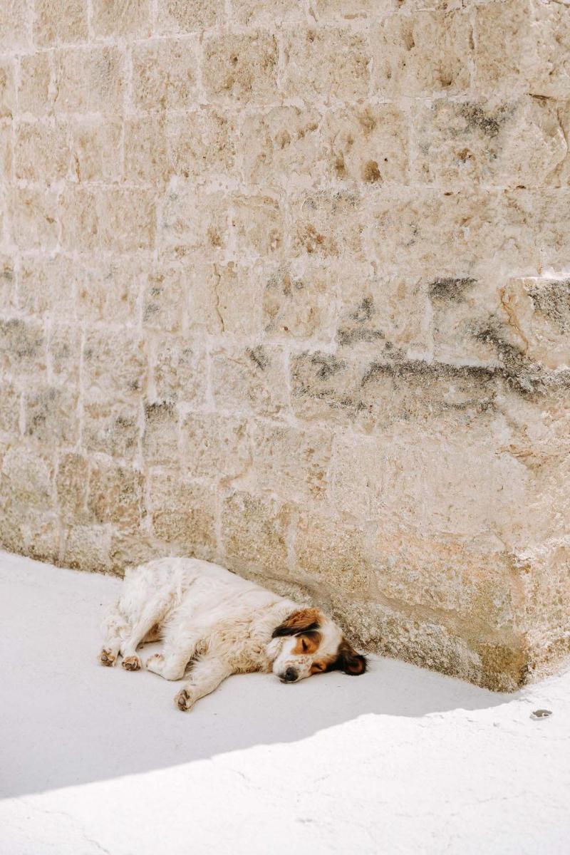 Masseria Garrappa