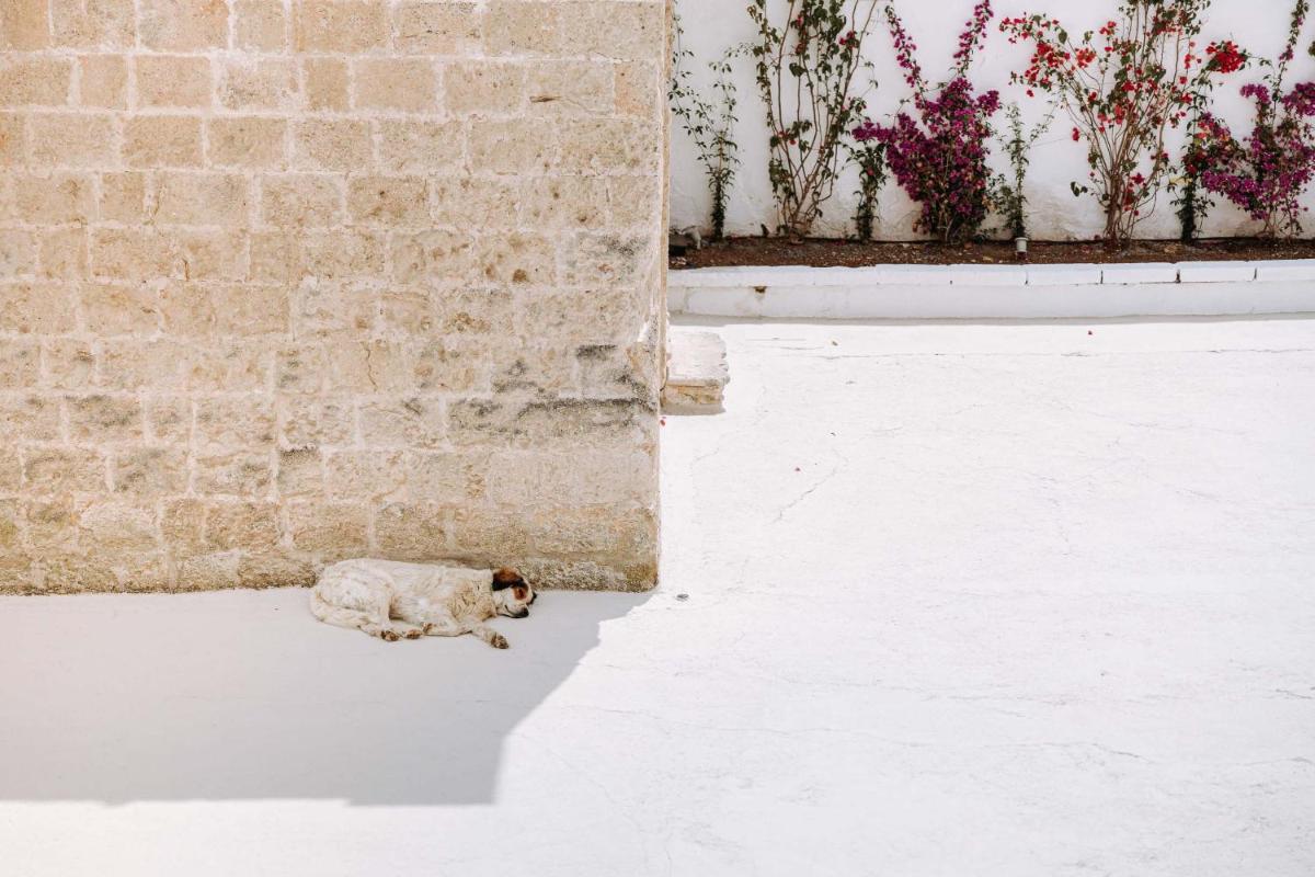 Masseria Garrappa