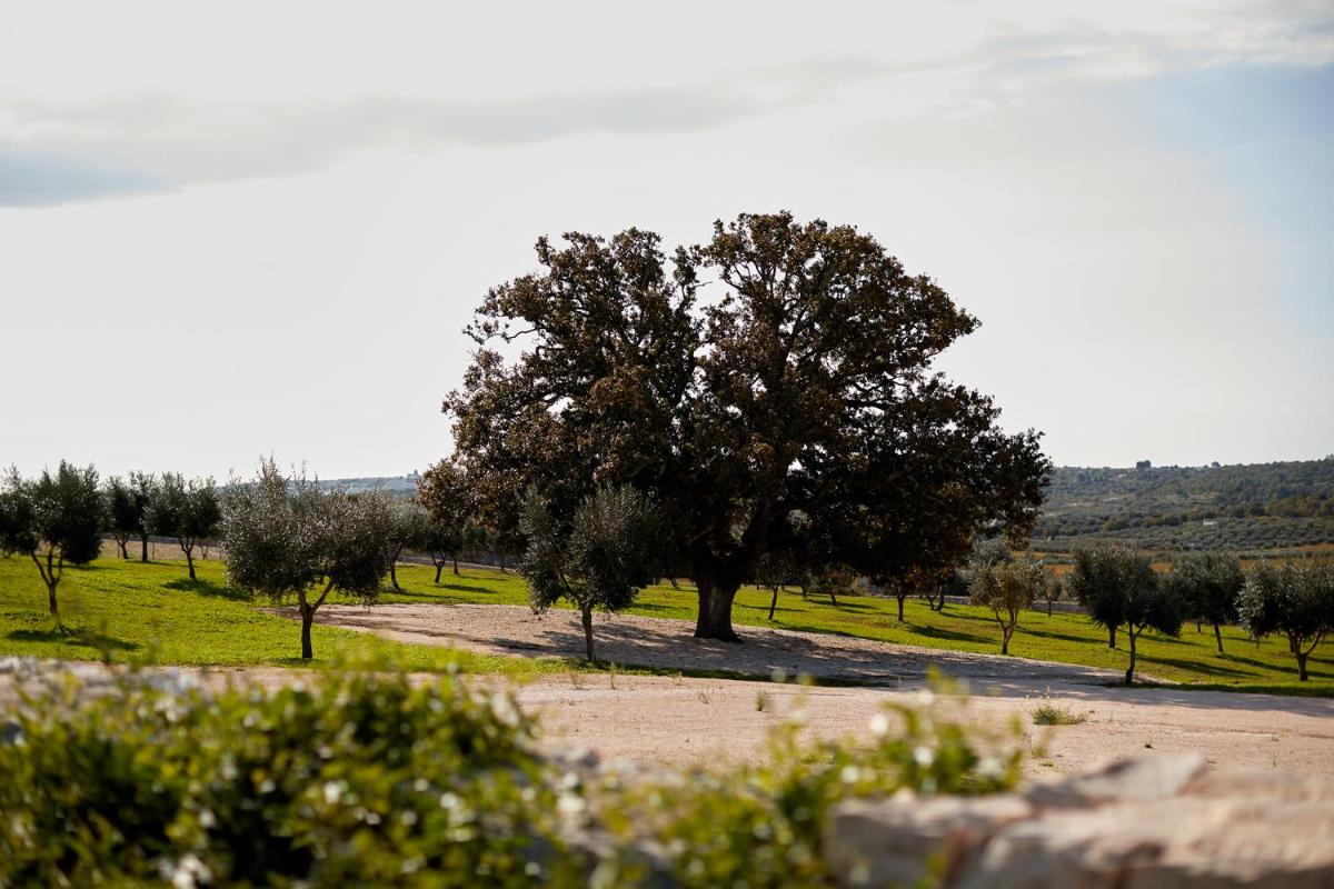 Masseria Grieco