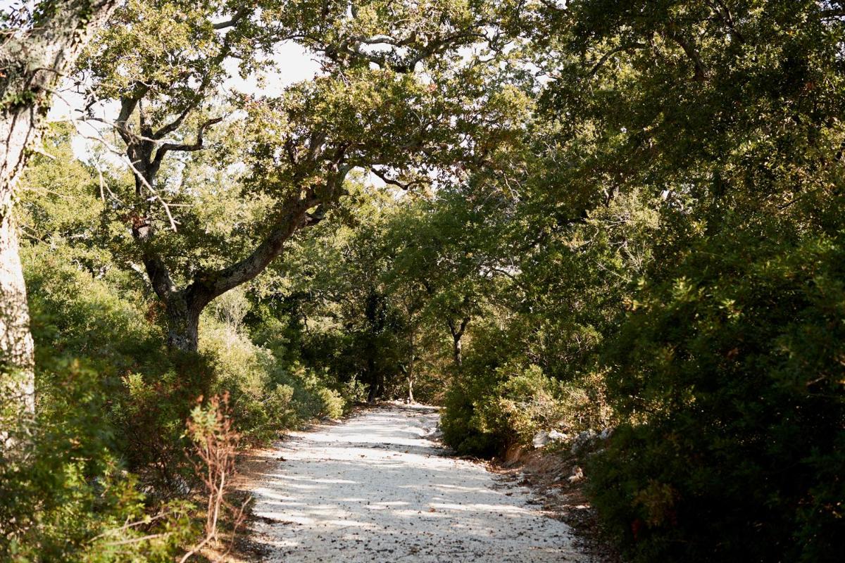 Masseria Grieco