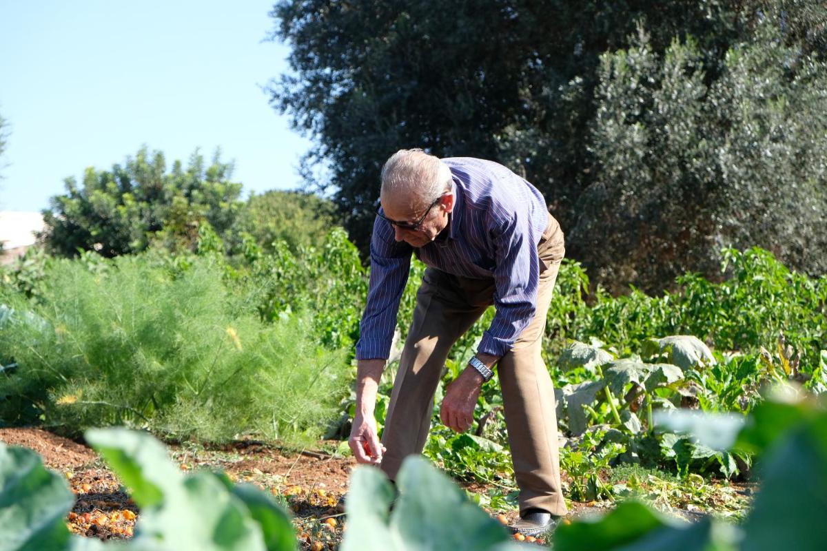 Masseria Grieco