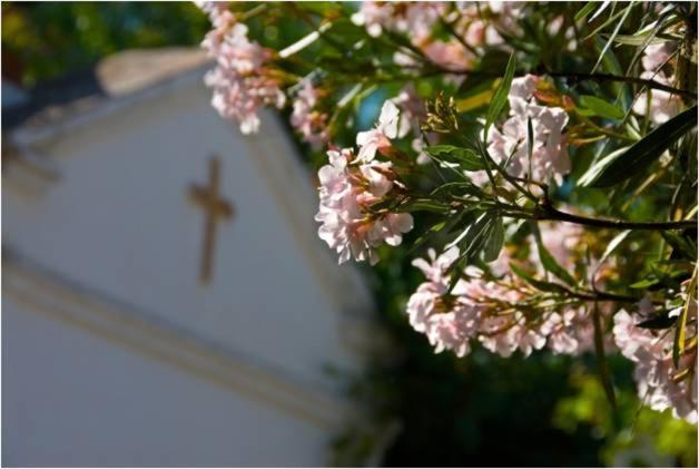 Masseria Il Frantoio