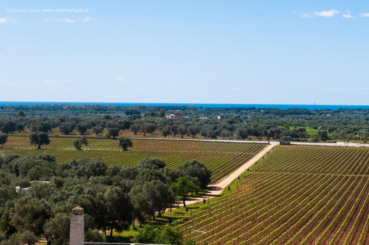 Masseria Le Fabriche