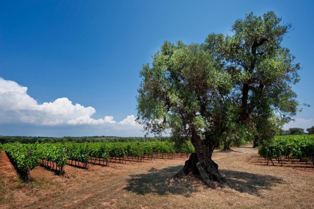 Masseria Le Fabriche