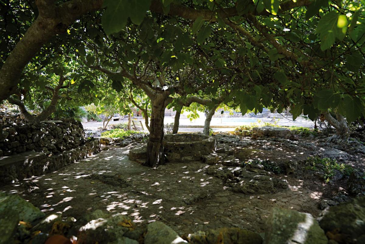 Masseria Li Reni