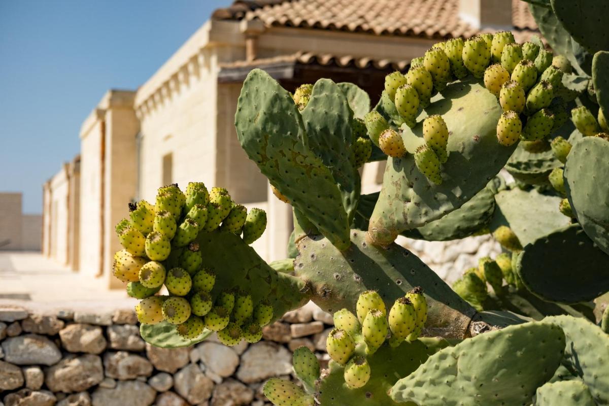 Masseria Lilei - Puglia, Salento